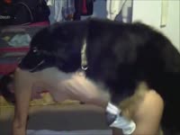 Skinny bitch got fucked by a horny black dog